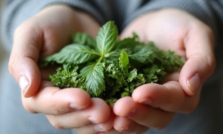Hands holding a variety of fresh, vibrant herbs and natural plants, symbolizing natural ingredients.