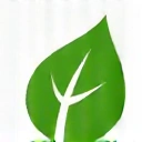 Leaf icon representing natural ingredients